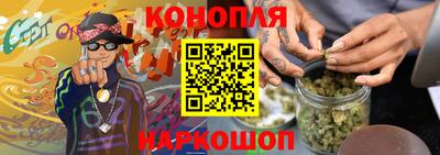 крисы Аргун